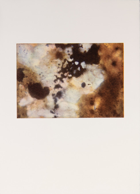 Meteorit, 1964_E.A._45x63 cm_bkf Rieves White 270 g