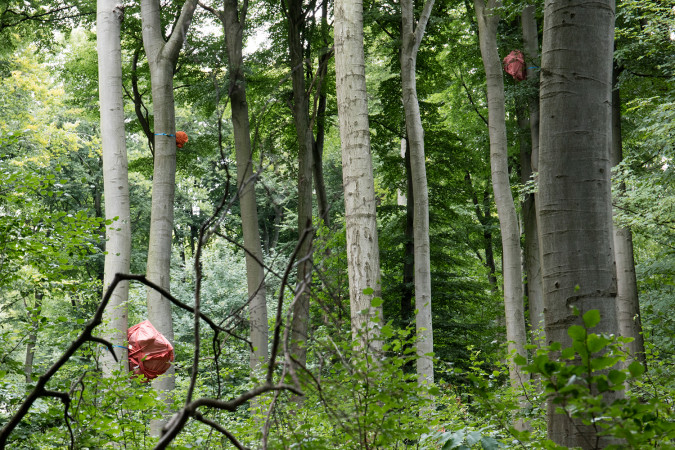 Site-specific installation interventions/wrappings in Riis Skov