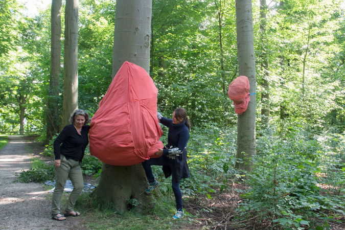 The red organic forms develop in a symbiotic or parasitic relationship to the trees