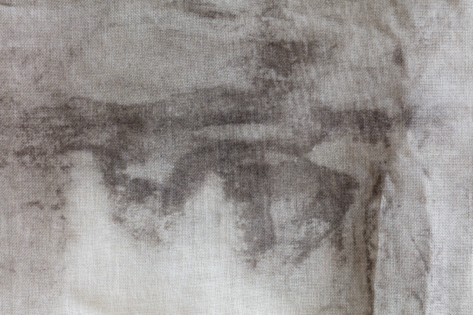 Detail, imprint of horsetail