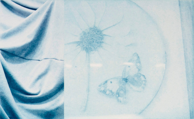 Sometime#IV Butterfly 03. Flerfarvet fotogravure. E.A. Somerset satin white, 300 /m2